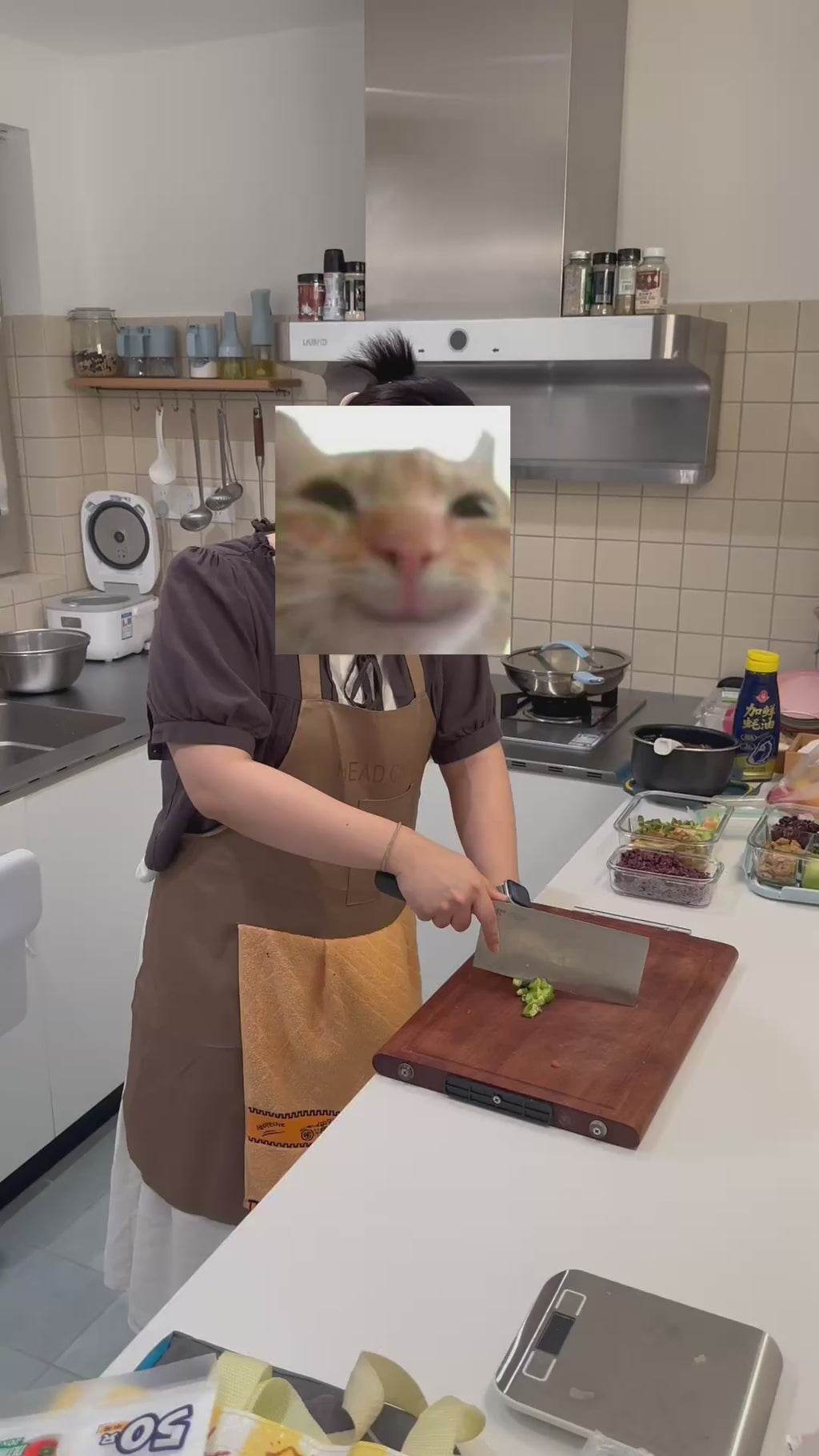 Chef Surprise Prank Apron